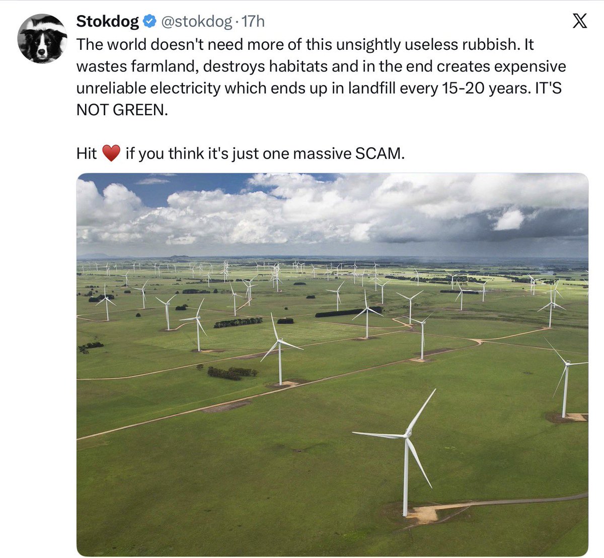 Dr Jill Belch tweet media