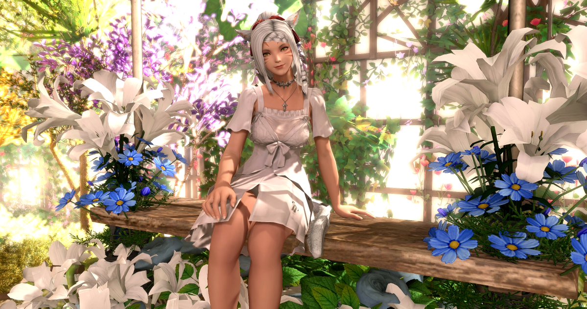 Sin - Photo studios in pinned! 📸 tweet media