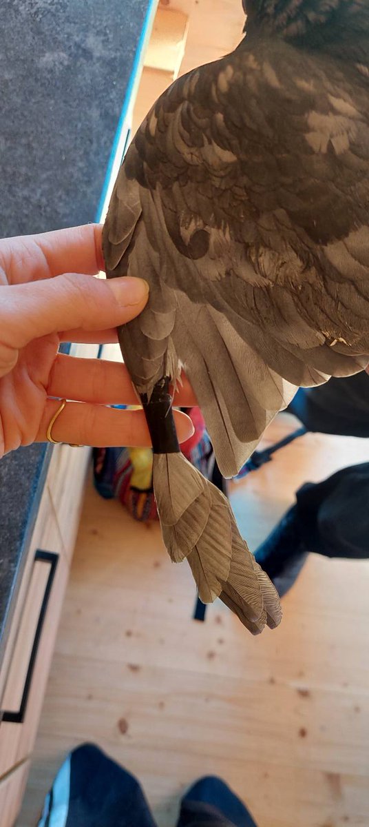 Dariusz Grochal tweet media