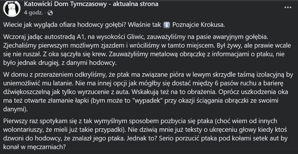 Dariusz Grochal tweet media