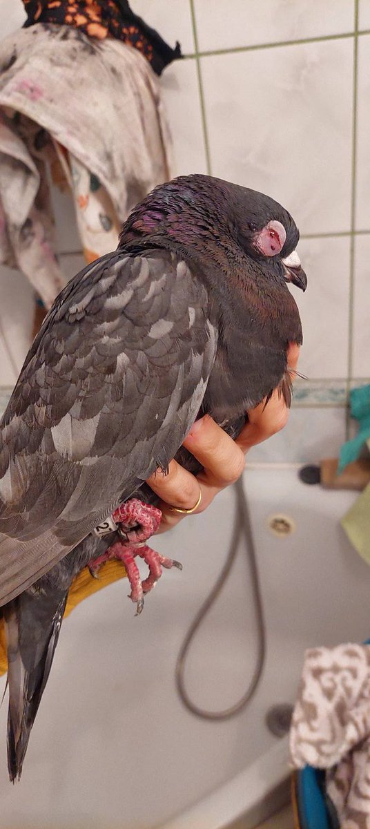 Dariusz Grochal tweet media