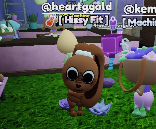 — @ cass tweet media