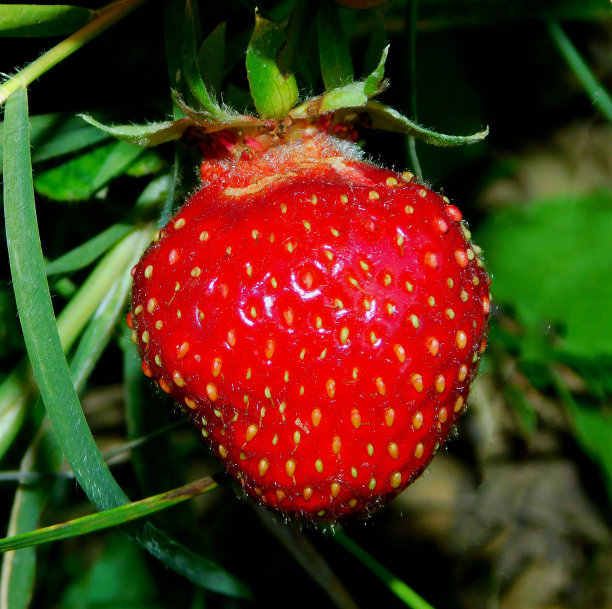 Solomon Abera tweet media