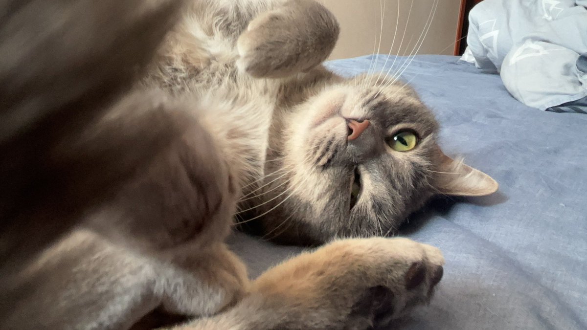 绝望的手银大师 tweet media