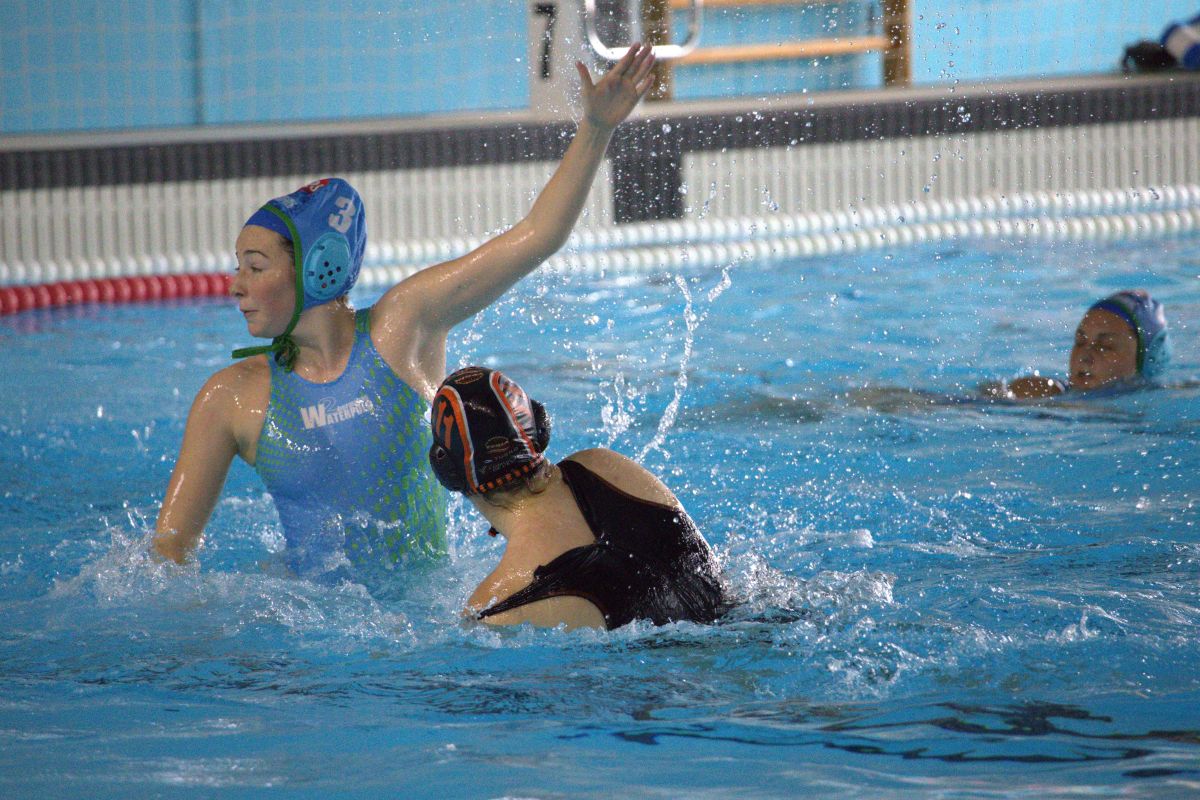 Club Waterpolo Dos Hermanas PQS tweet media