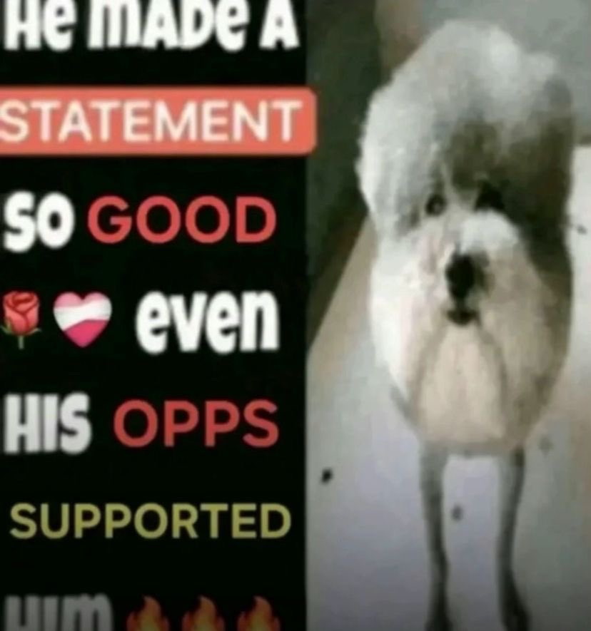 Alucard 🦇 tweet media