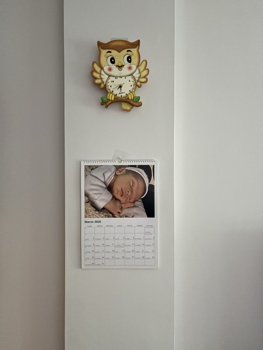 Yolanda 🩵🩵 tweet media