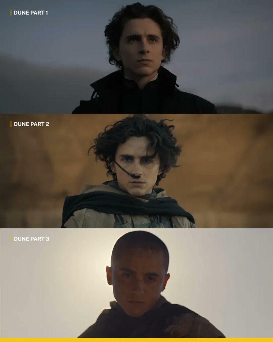 Duna Arrakis Brasil tweet media