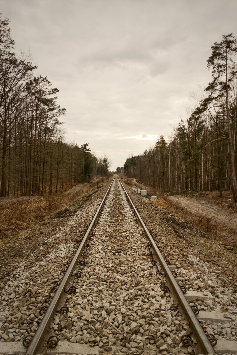Marcin Gliński tweet media