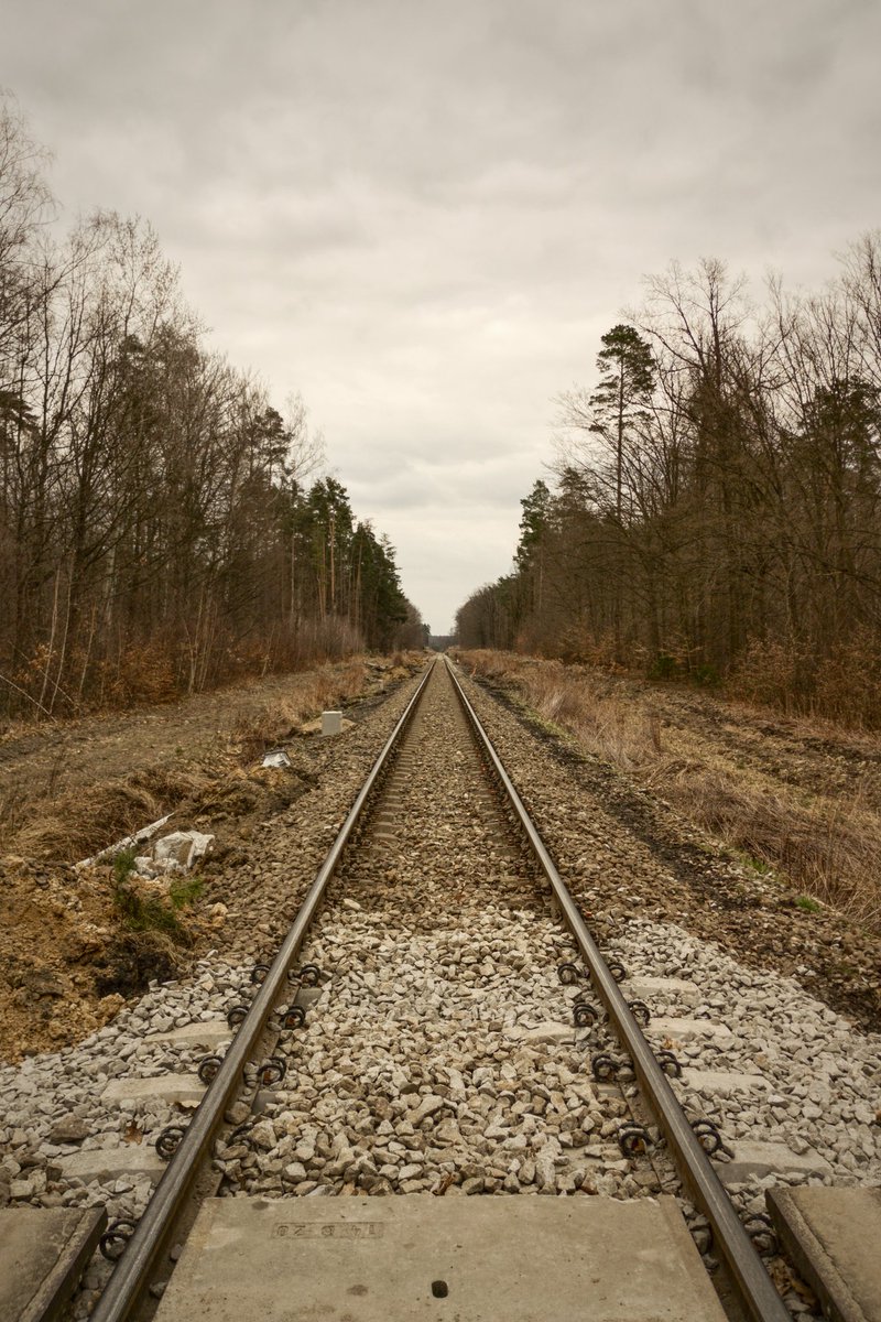Marcin Gliński tweet media