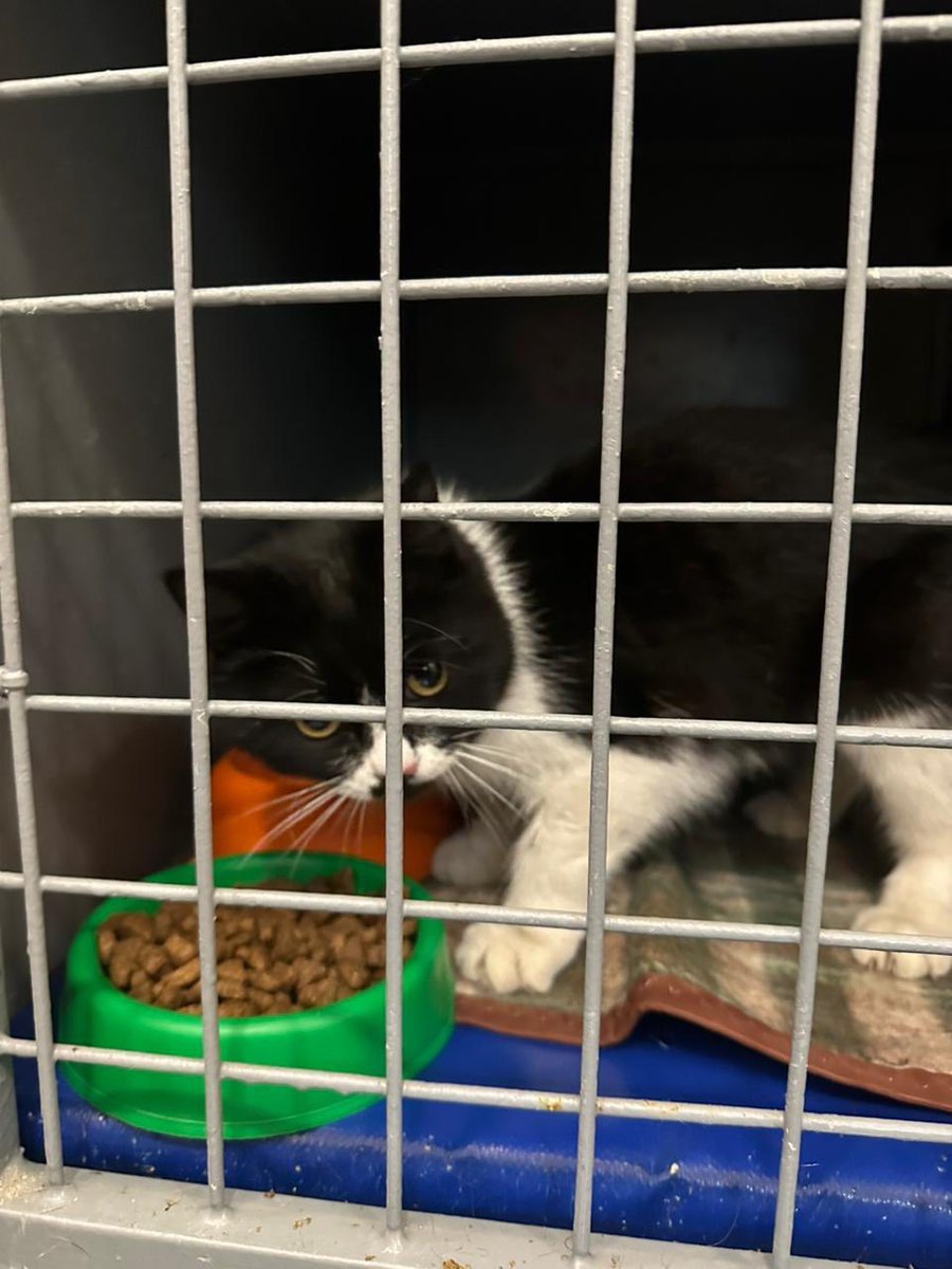 Накипіло. Харків tweet media