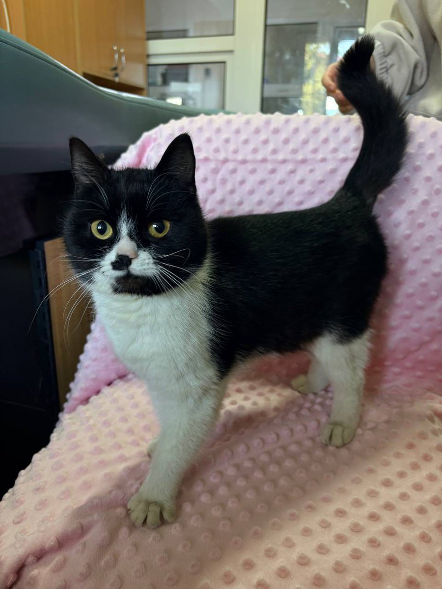 Накипіло. Харків tweet media