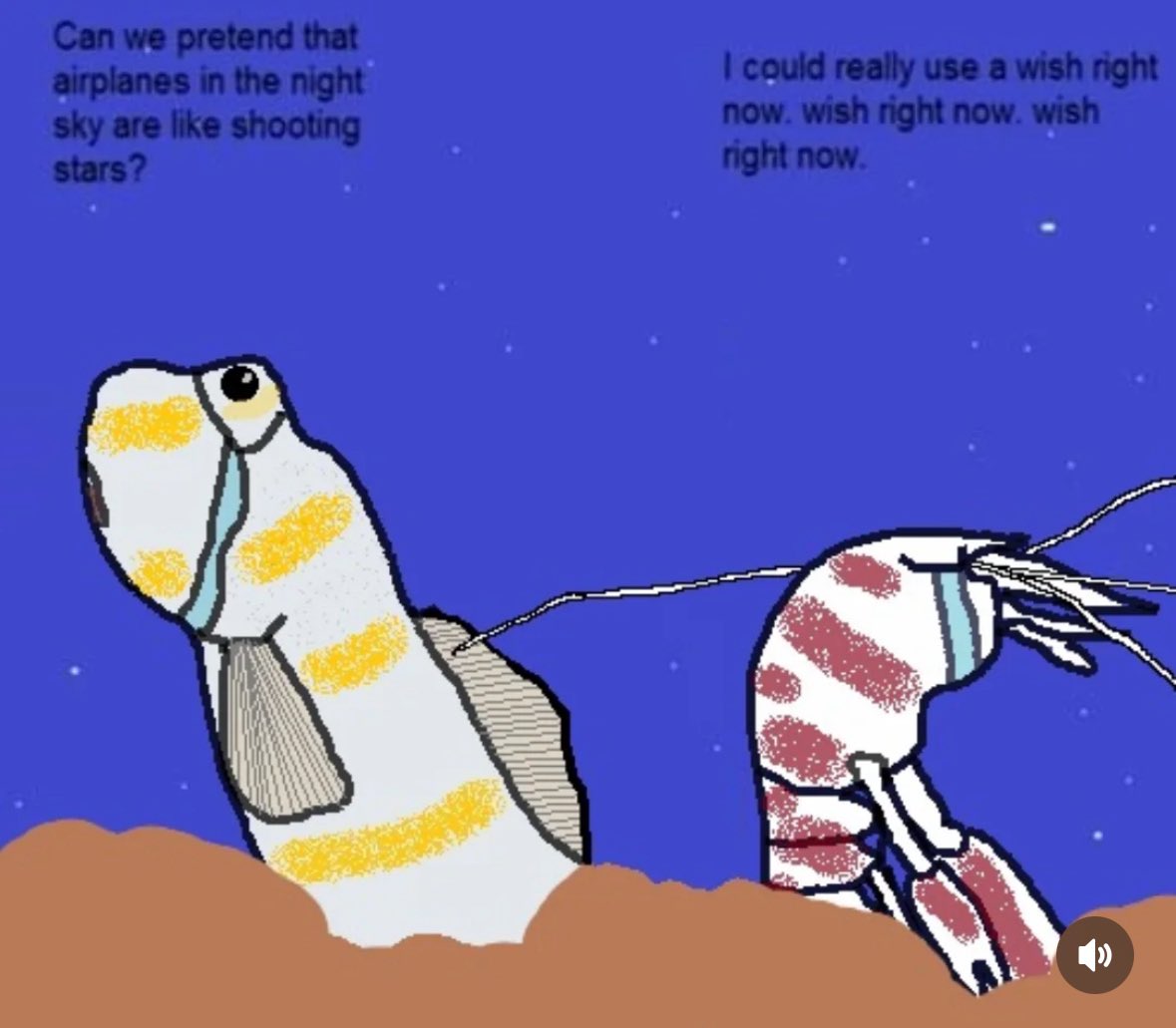 bada alt 🦐 tweet media