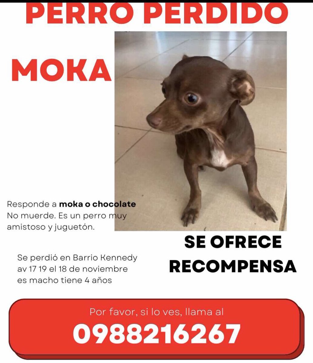 Alerta me perdi tweet media