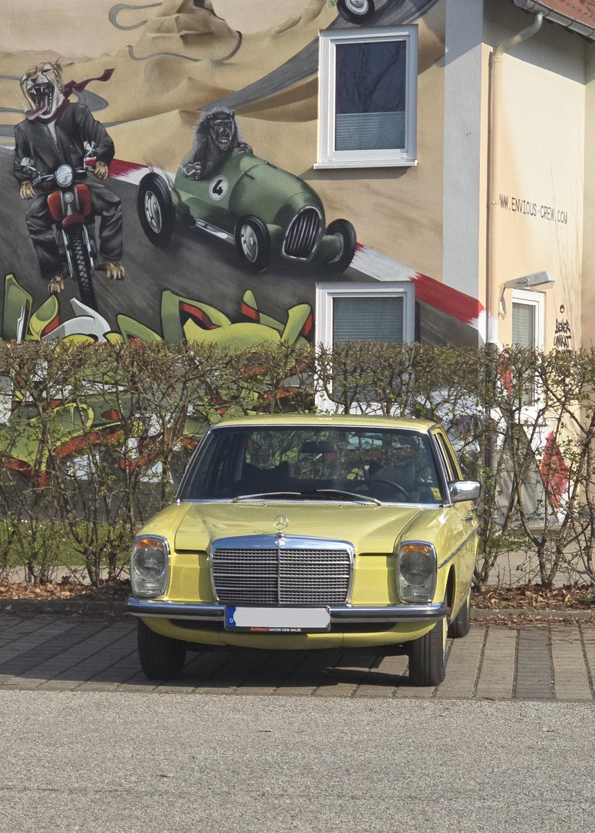 PhoenixFloof tweet media