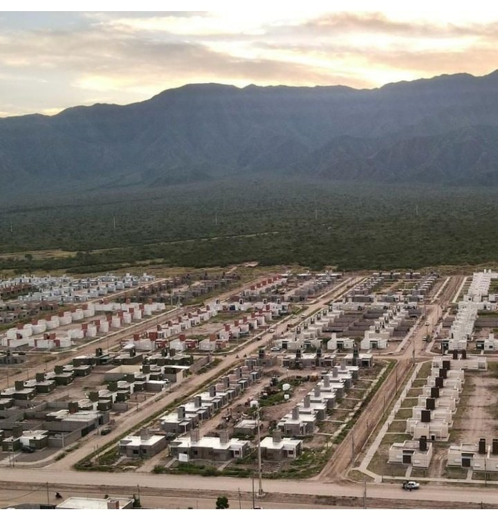 Bocchi naci tweet media