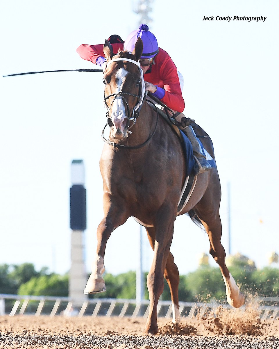 Sam Houston Race Park tweet media