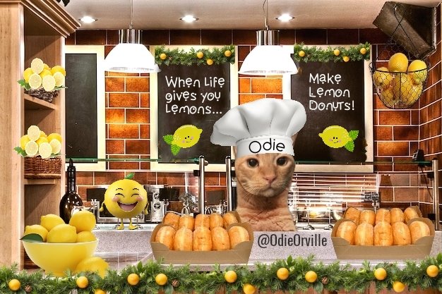 THE Odie Bob Orville 😺 tweet media
