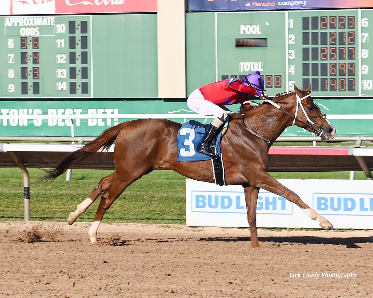Sam Houston Race Park tweet media