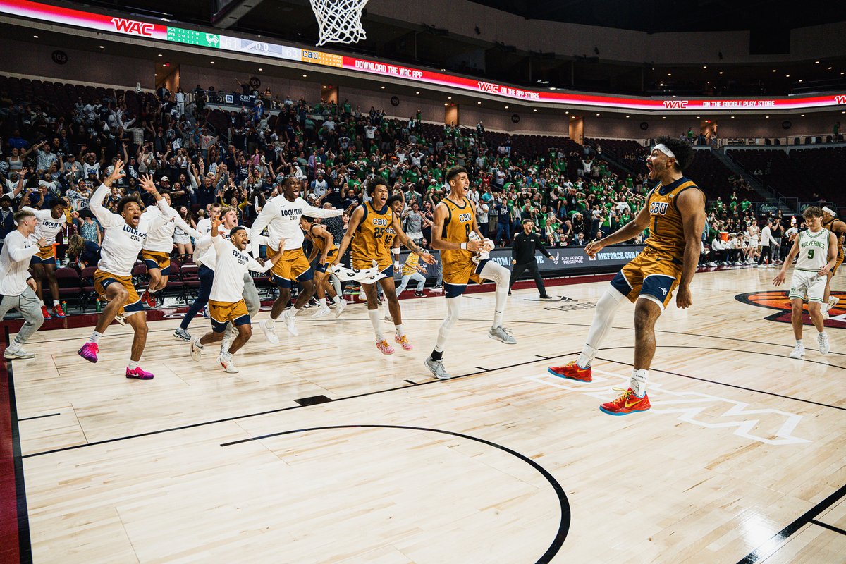 Dominic Lippi tweet media