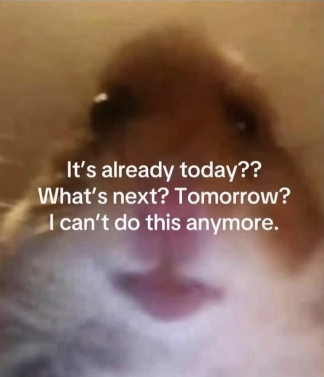 Stefani Somers tweet media