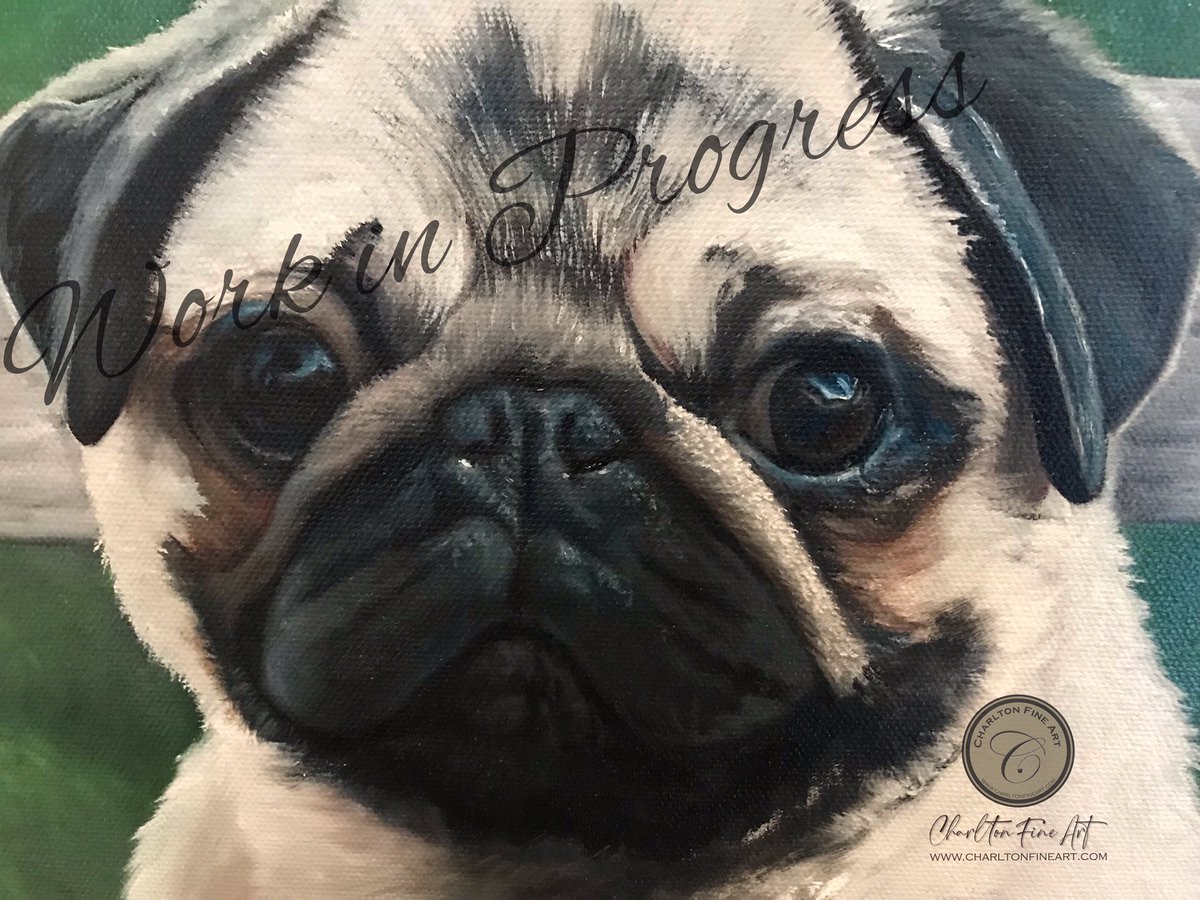 Sharing a sneak peek of a pug painting I’m working on! Base fur  layers and fluffiness 🥰❤️