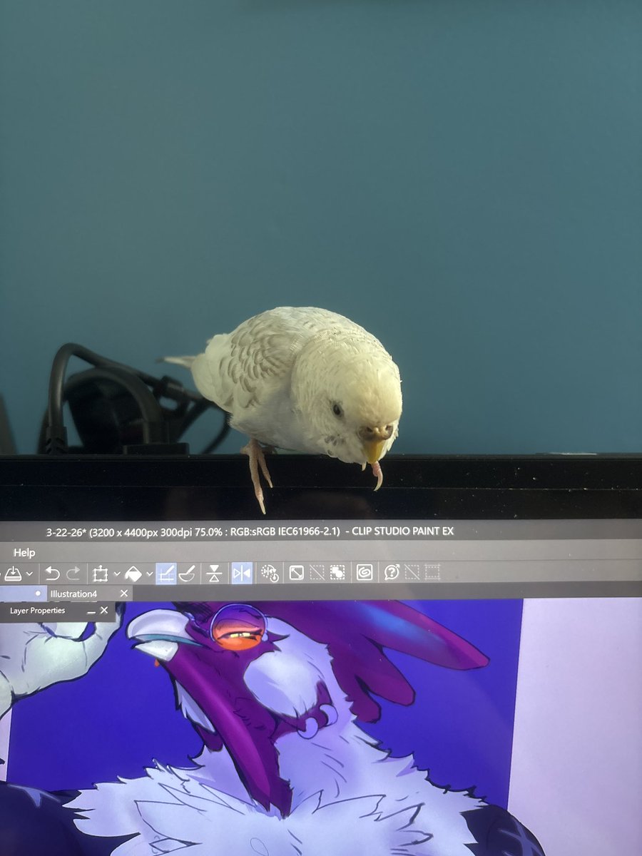 SpeccyChicken tweet media