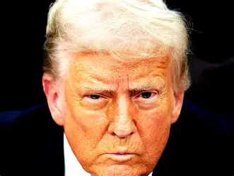 Dees Bees tweet media