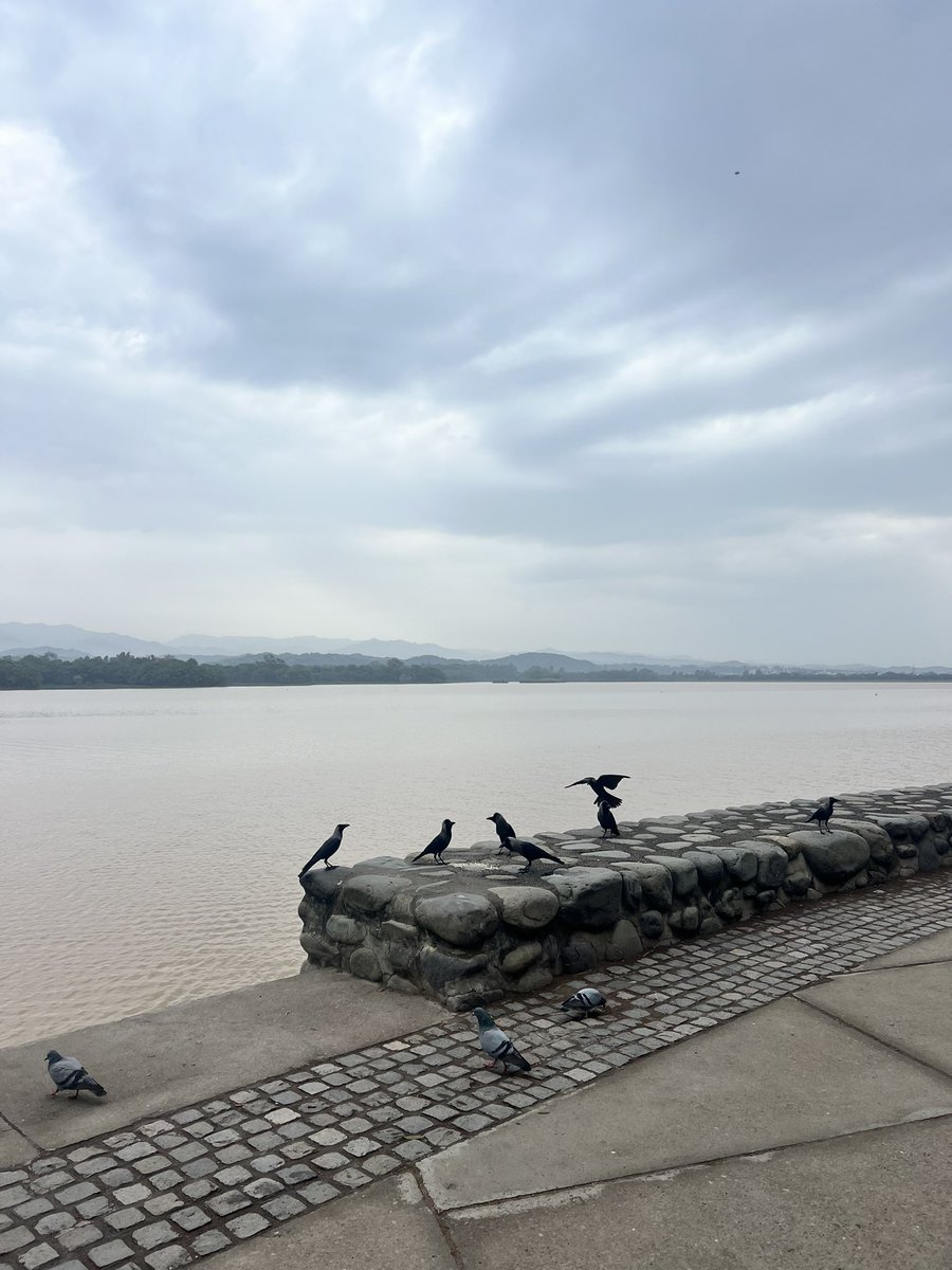 Ujala 🌸 tweet media