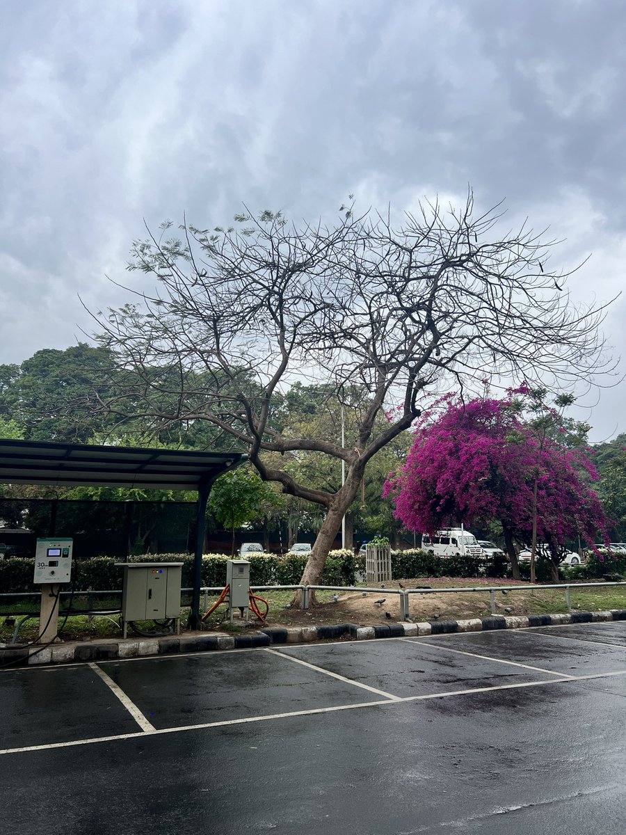 Ujala 🌸 tweet media