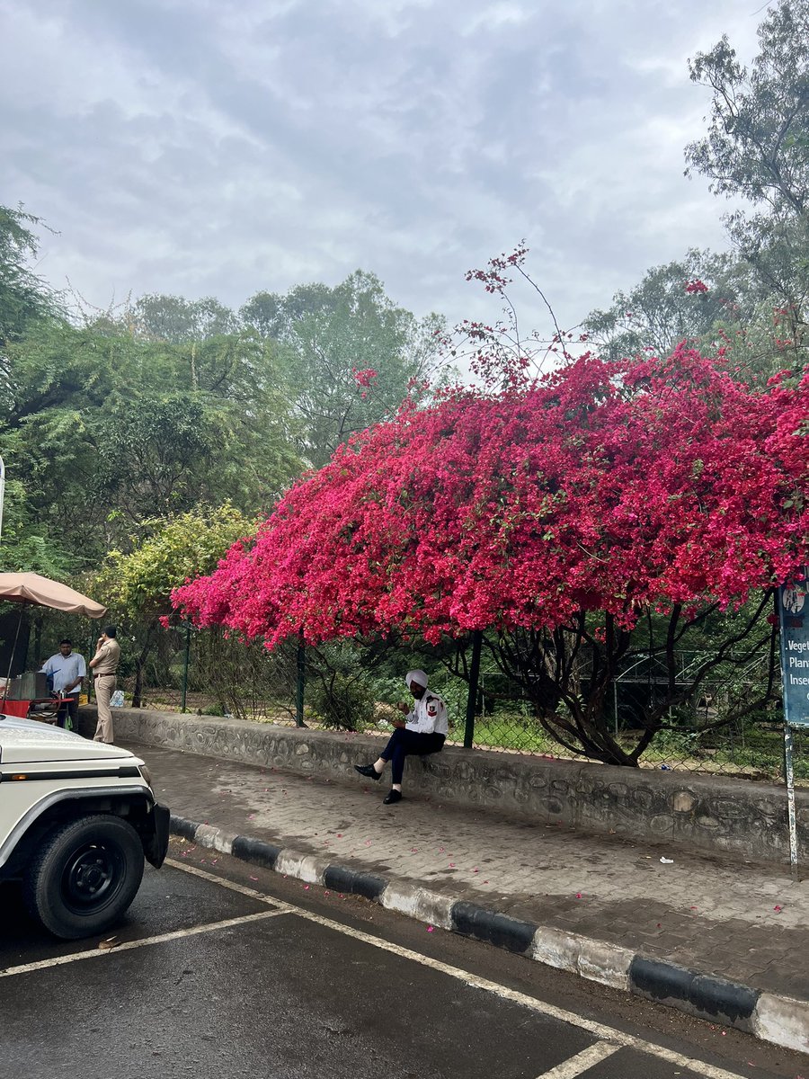 Ujala 🌸 tweet media