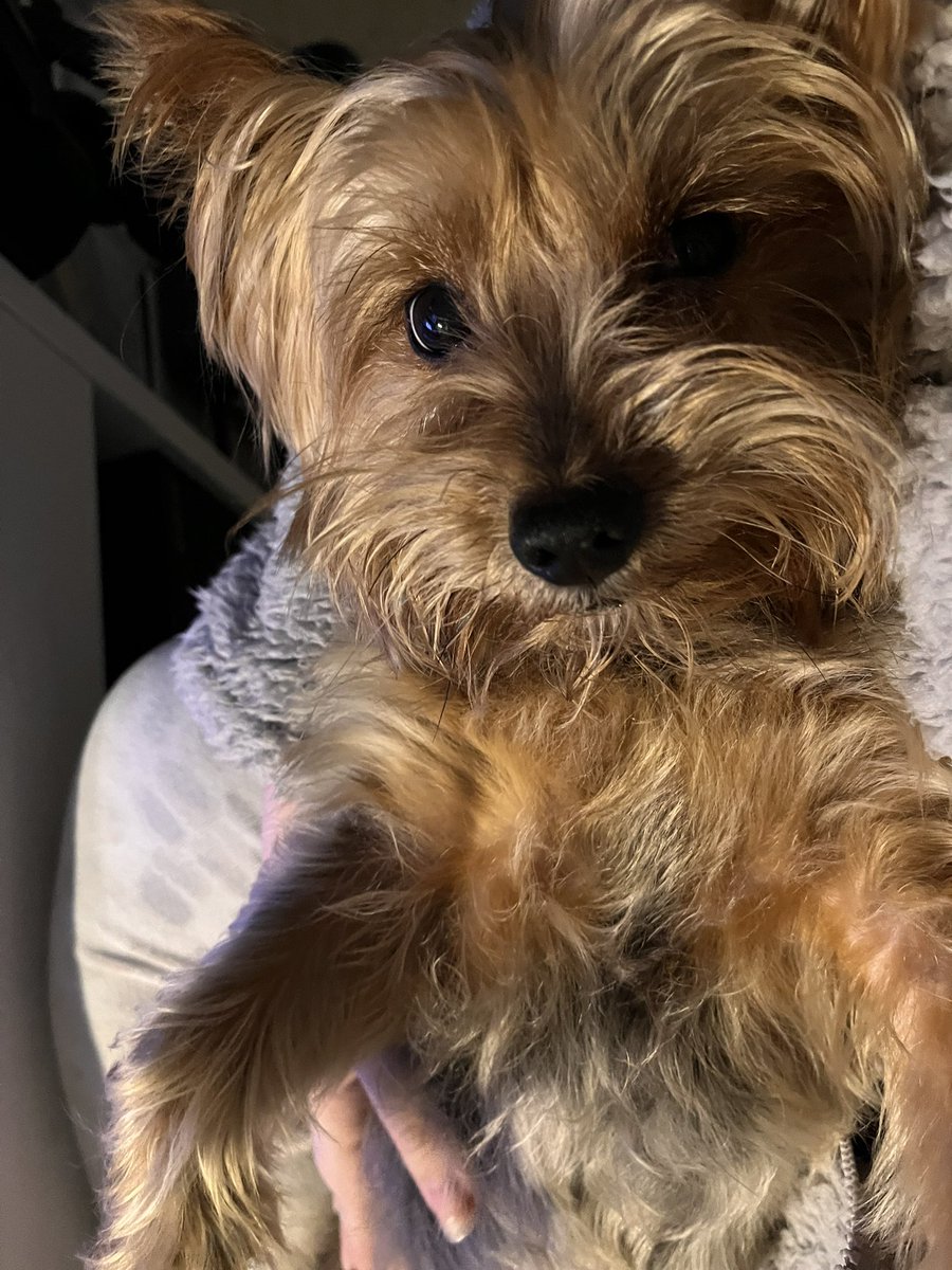 ✨ Maday ✨ || comms open ✏️ tweet media