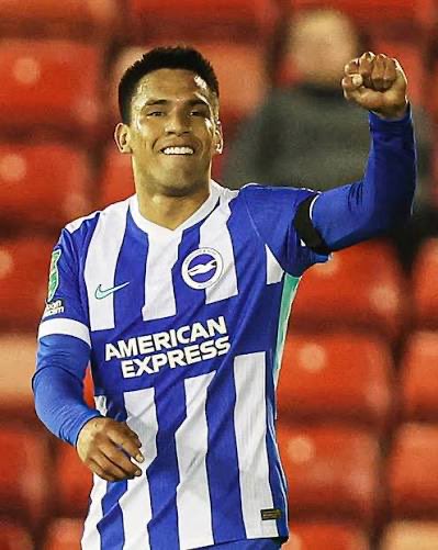 fin gibson tweet media