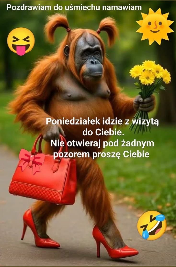 MaKsi #TakDlaCPK tweet media