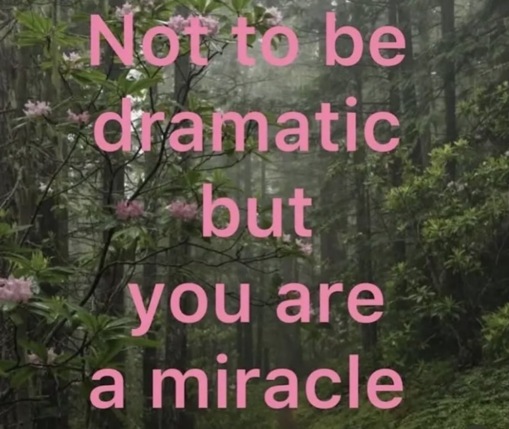 Glainá Boucinha • 👛 tweet media