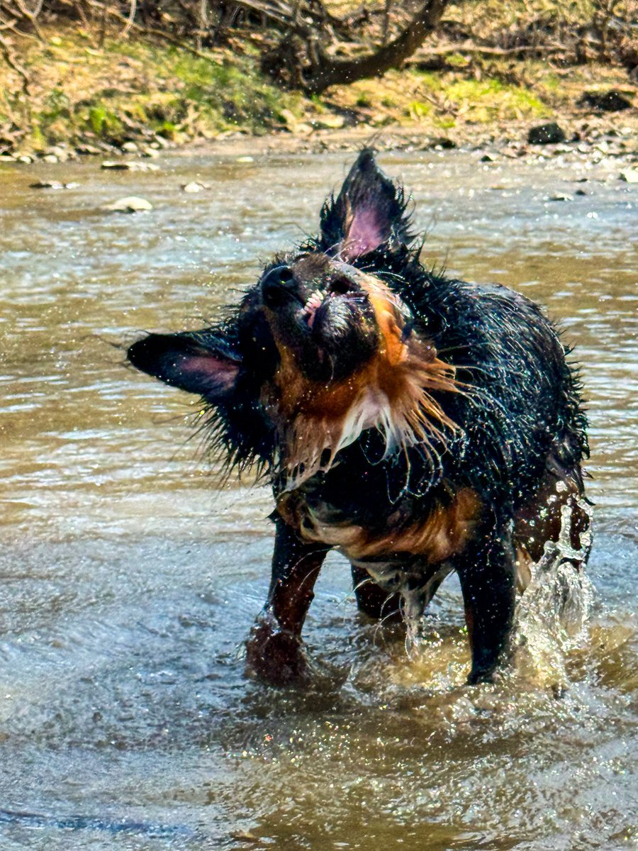 Bob Morris Jr 🏴☠️🦅 tweet media