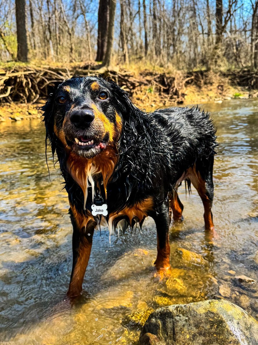 Bob Morris Jr 🏴☠️🦅 tweet media