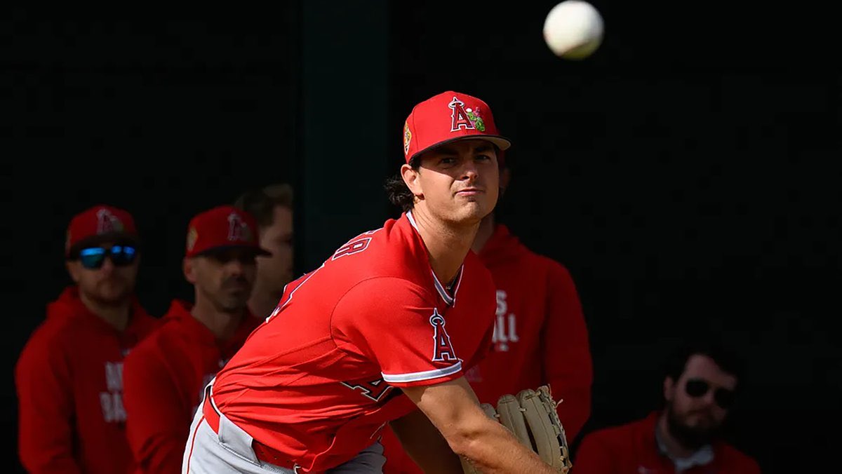 SleeperAngels tweet media