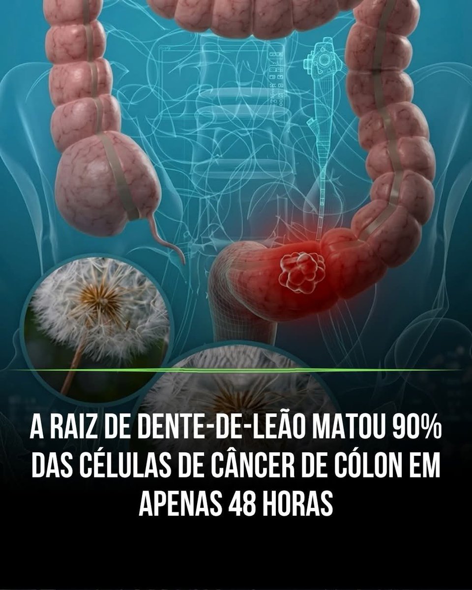 Paulo de Tarso tweet media