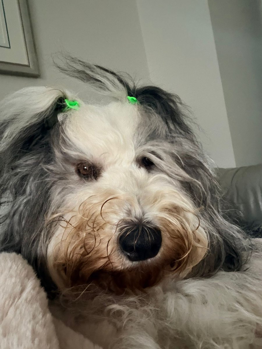 Ian Moore🇺🇦 tweet media