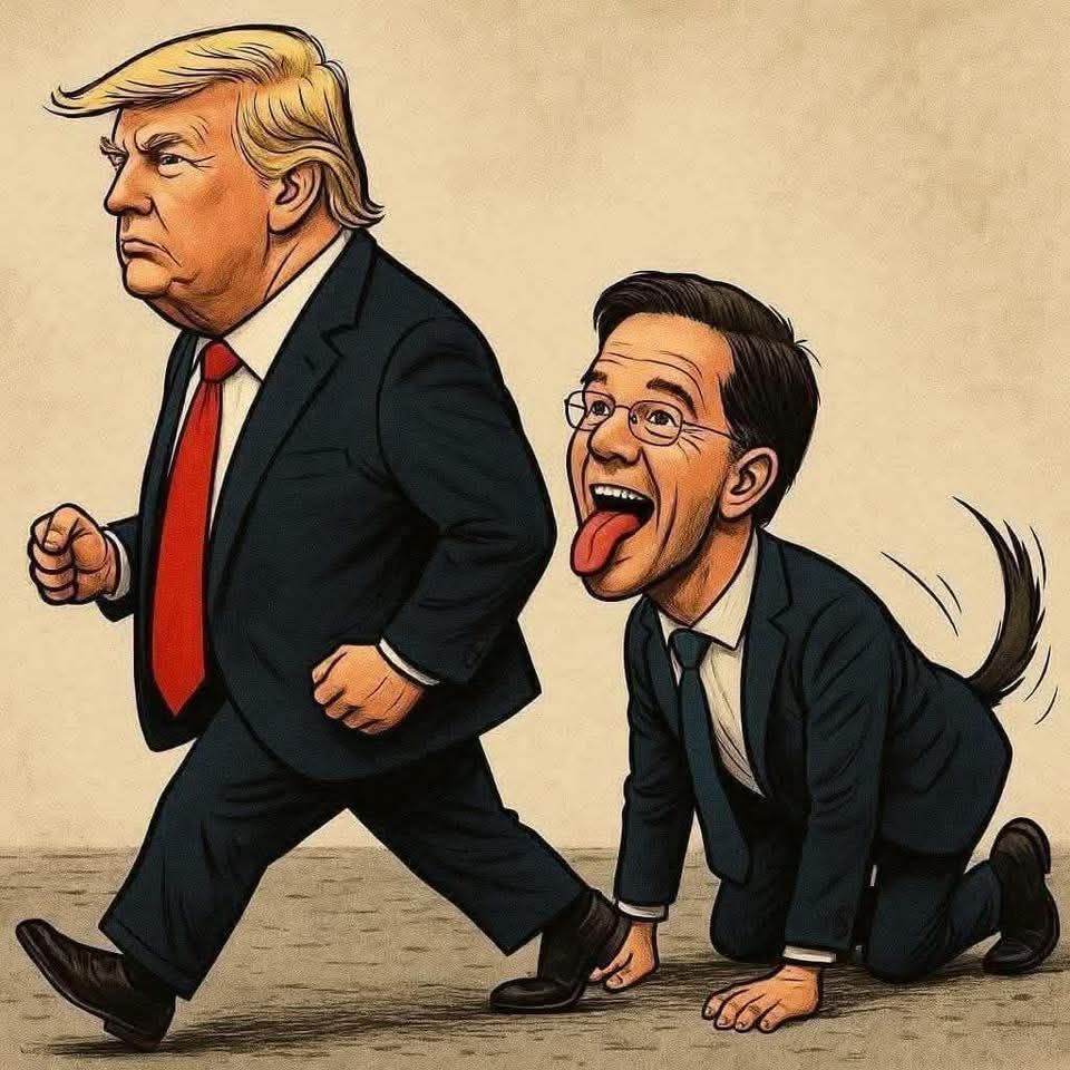 Apollo 🇺🇦 tweet media