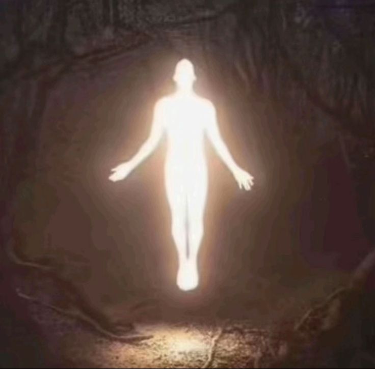 Clov! 🍉 tweet media