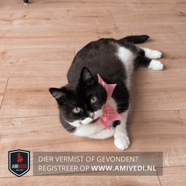 Mrs. Hunter tweet media