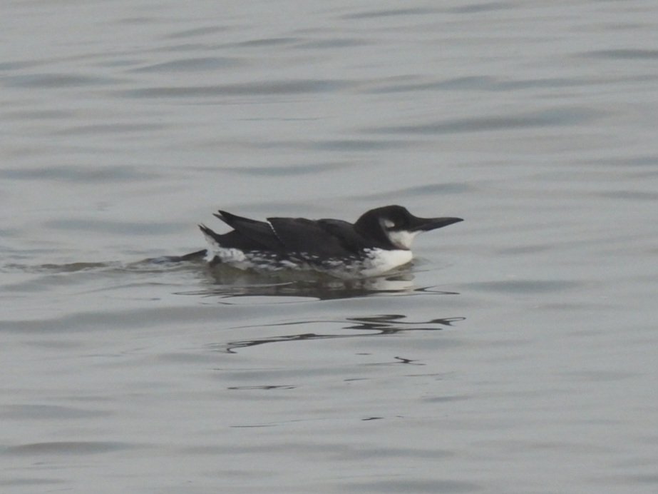 Mark Clements tweet media