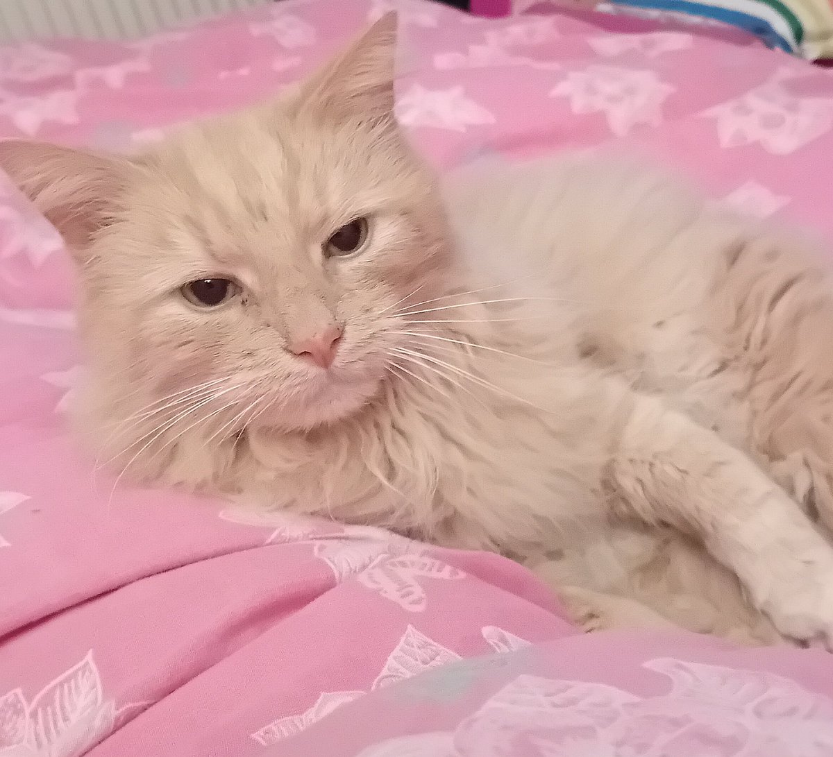 Kathryn White tweet media