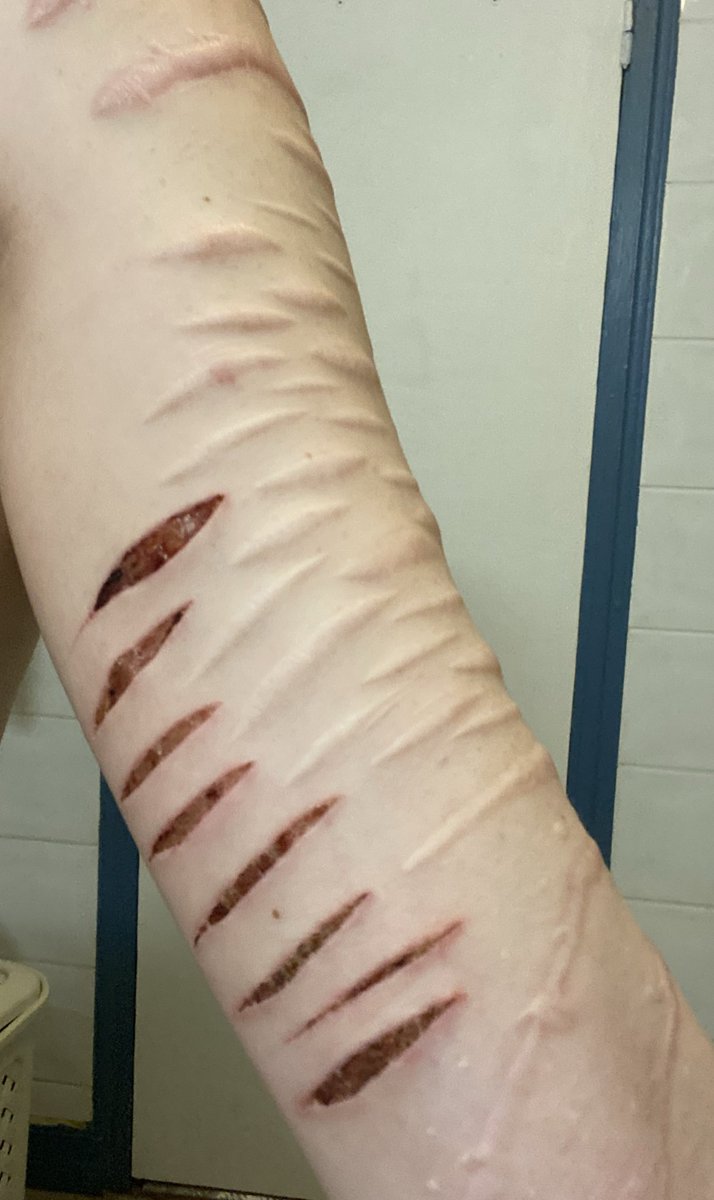 ᴍᴏᴏɴ • tweet media