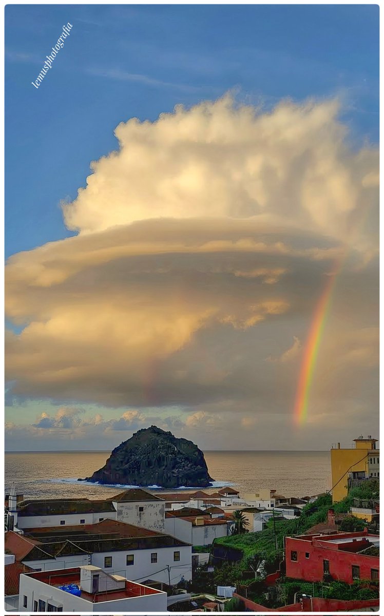 lemus photography tweet media