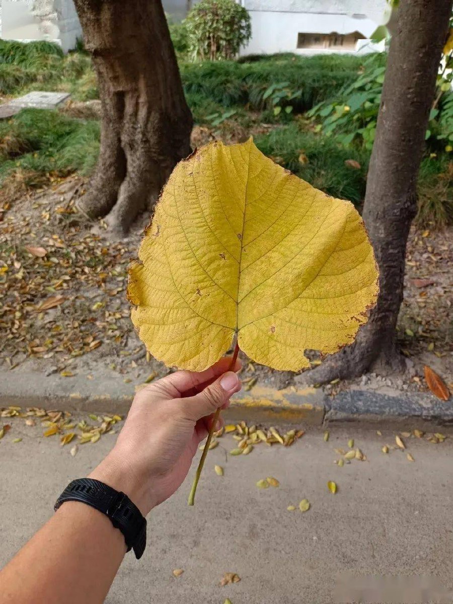 Szymon Dębicki tweet media