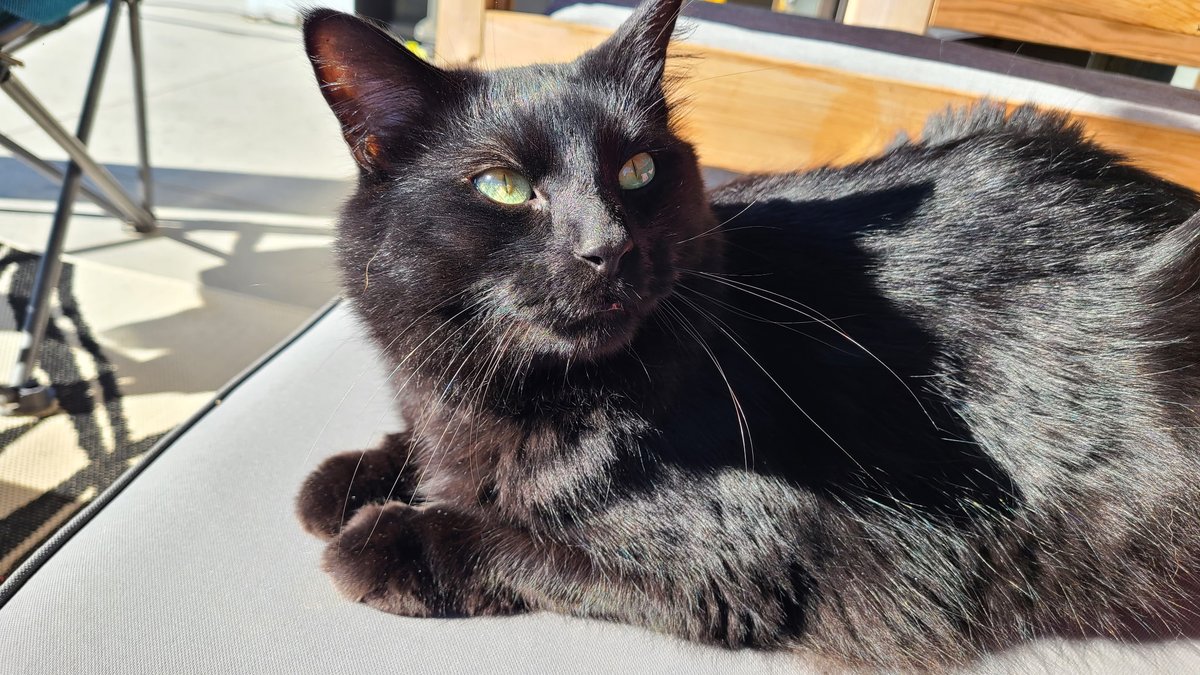 Greg Raney tweet media