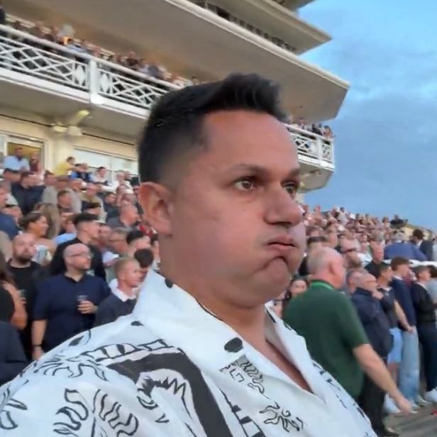 European Bob tweet media